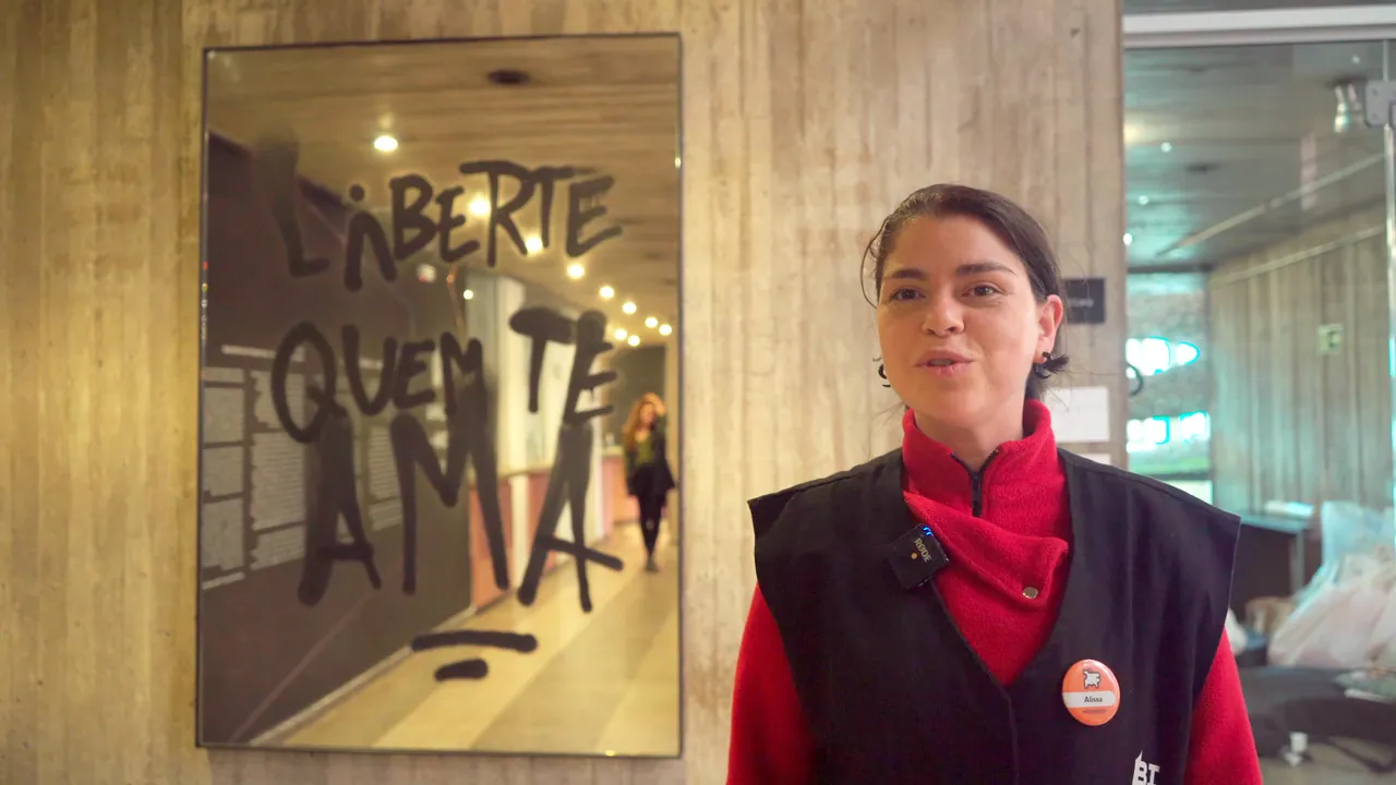 13ª Bienal do Mercosul — 17