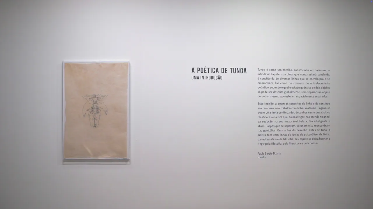 A poética de Tunga – uma introdução — 6