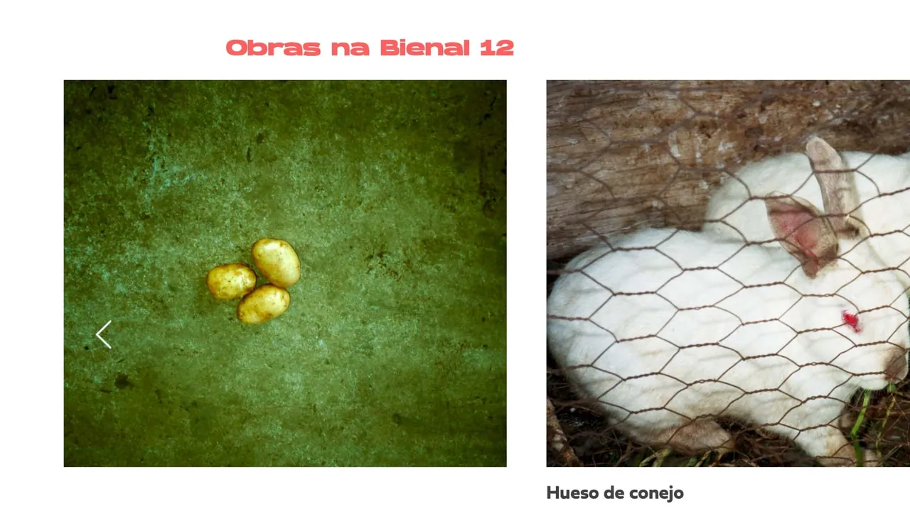 Bienal 12 Online — 8