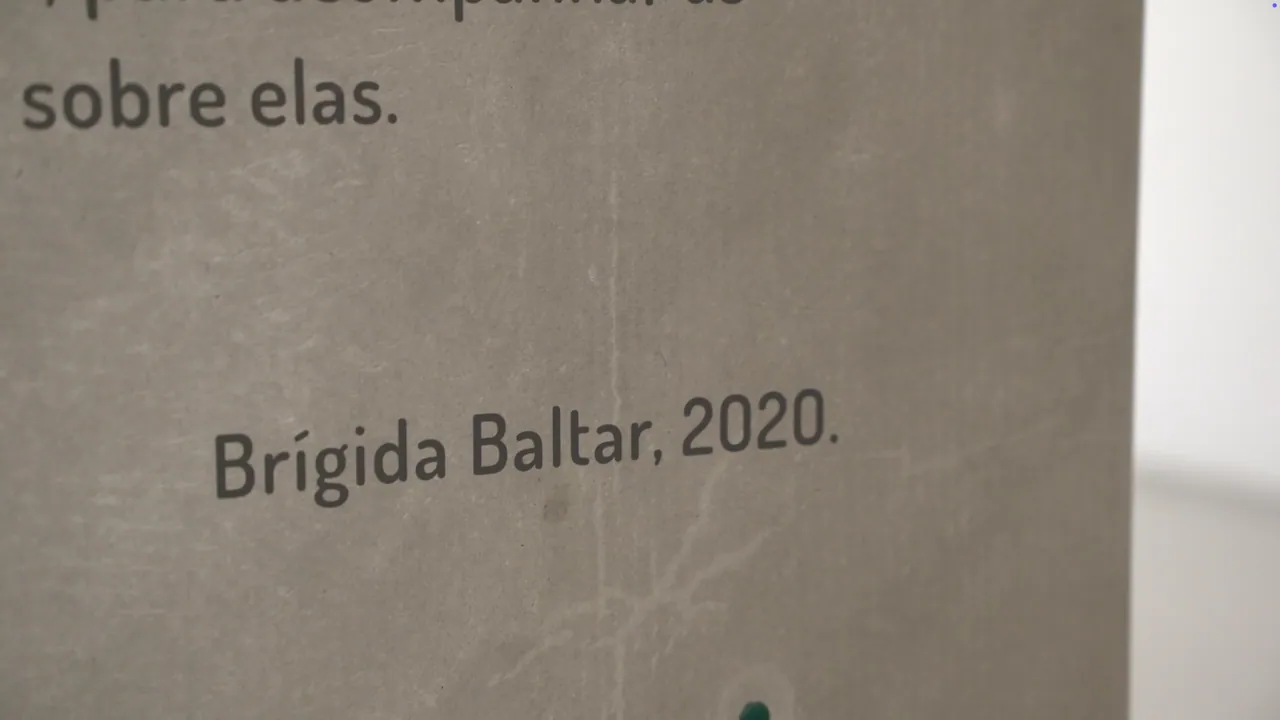 Brígida Baltar: a pele da planta — 13