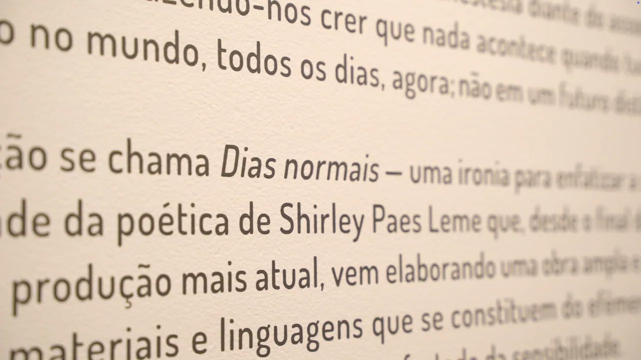 Dias Normais - Shirley Paes Leme — 17