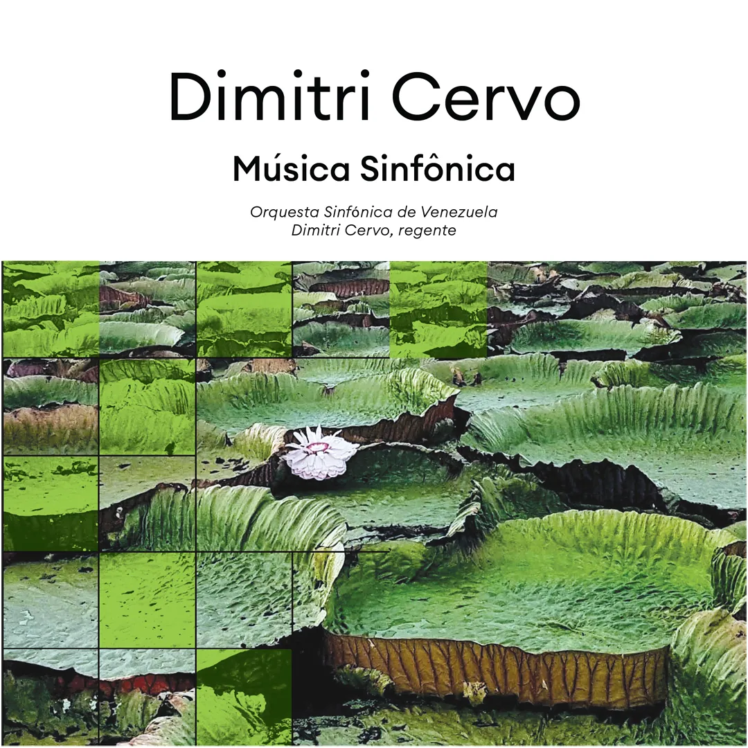 Dimitri Cervo — 5