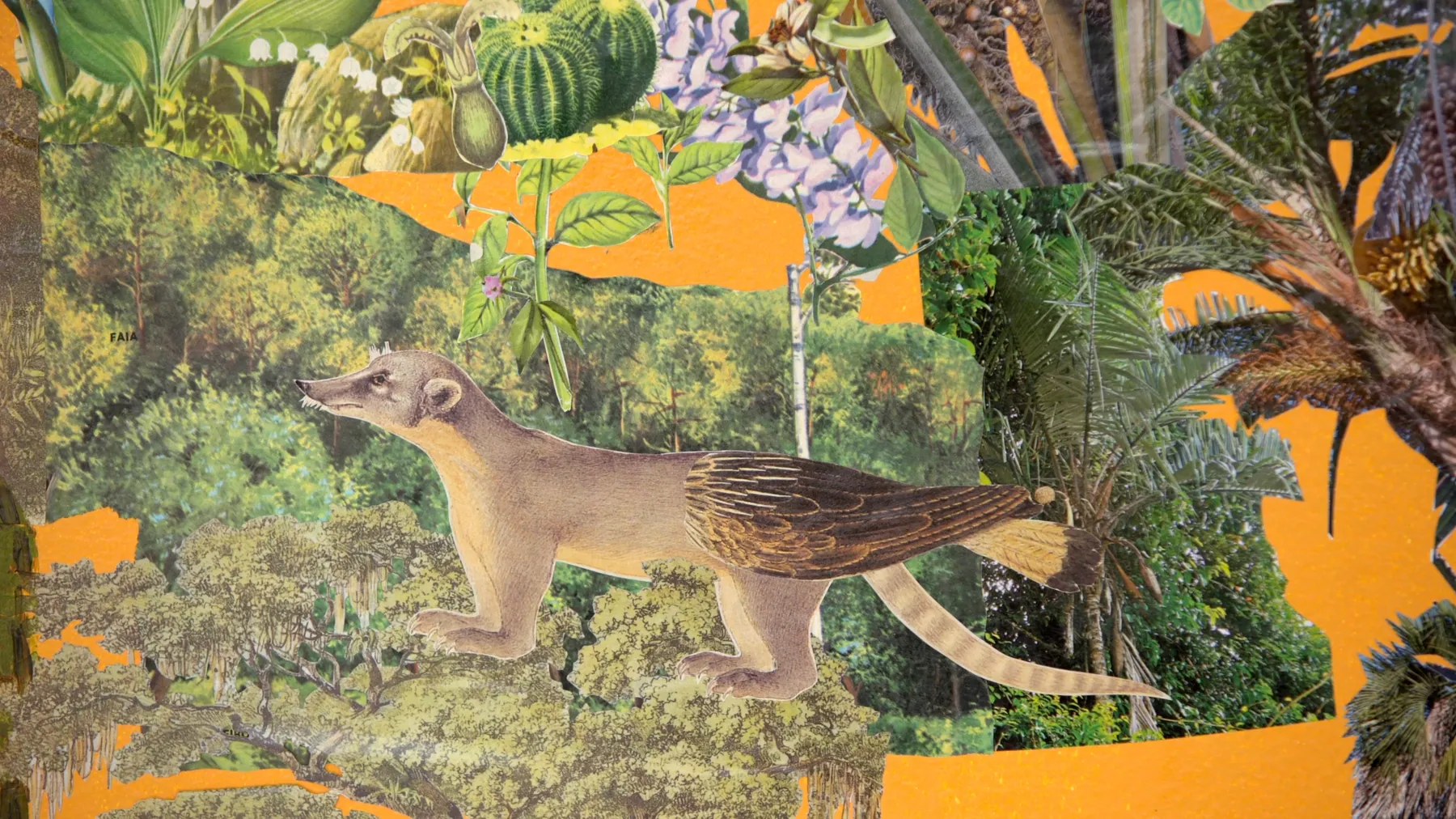 Ling Apresenta: Gê Viana — 2