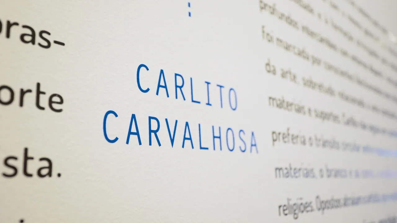 Linhas do Espaço Tempo: Carlito Carvalhosa — 20