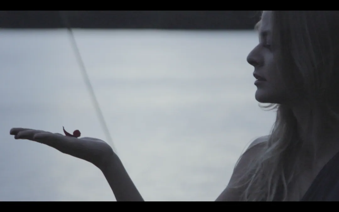 Rose — 1