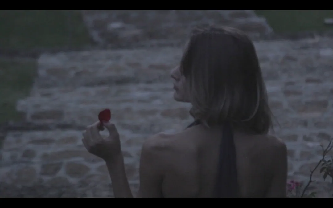 Rose — 16