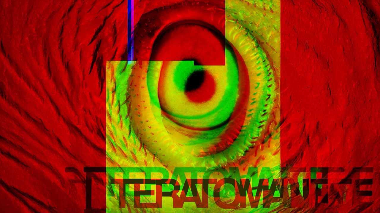 TERATOMA