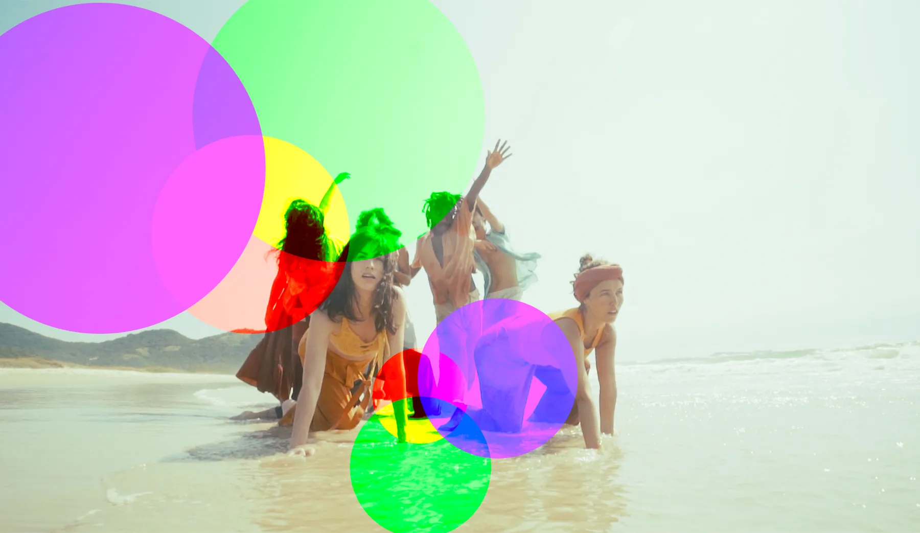 Videodança Cardume
